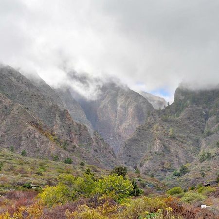 Naturaleza Viva El Socorro Luaran gambar
