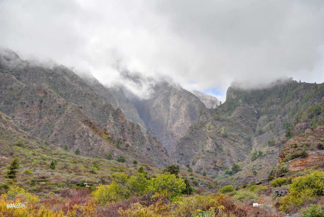 Naturaleza Viva El Socorro Luaran gambar